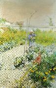 Carl Larsson i kakstradgarden painting